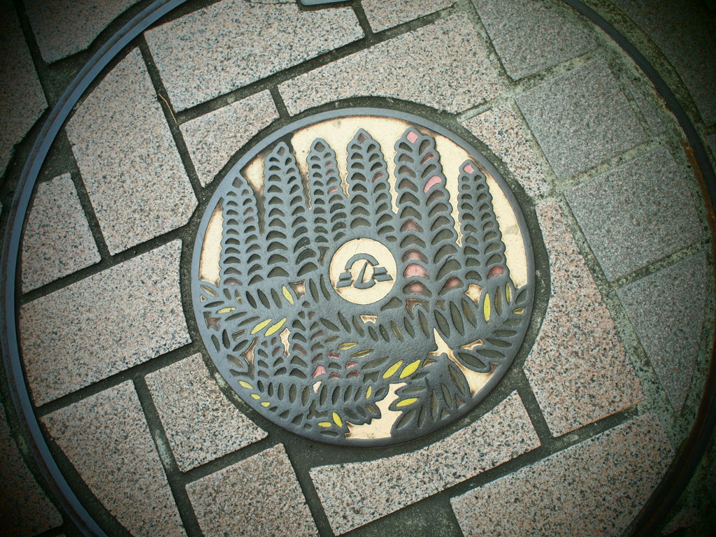 藤の花のマンホール・アート２