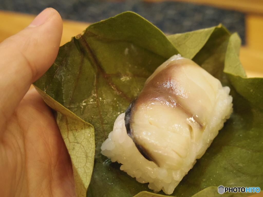 鯖の柿の葉寿司