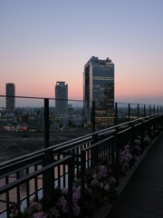 スカイビルとツツジとソーラーパネル