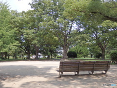 木陰のベンチ