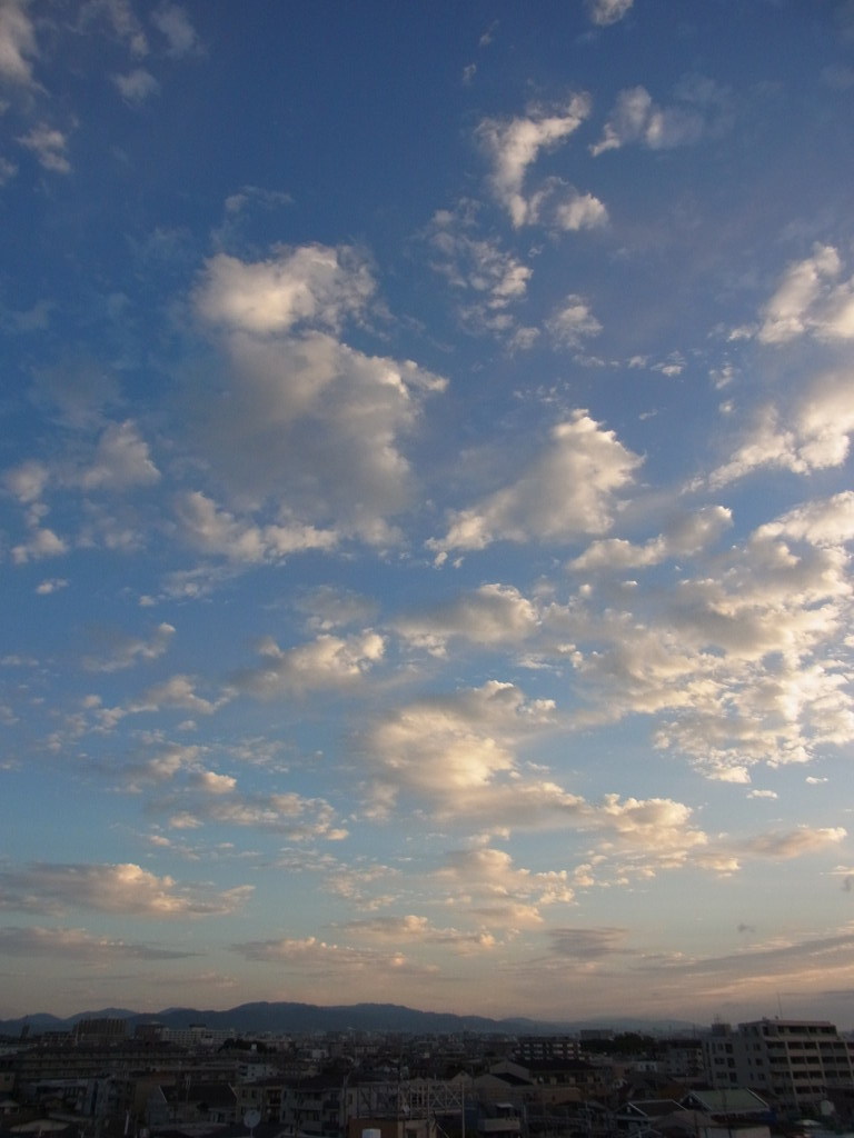 朝のちぎれ雲