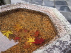 東福寺のおもてなし