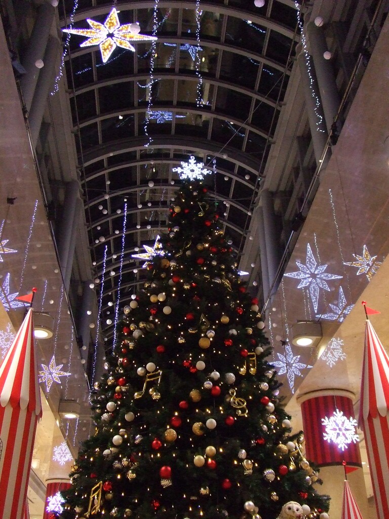 クリスマスツリー
