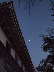 長浜城と秋の月