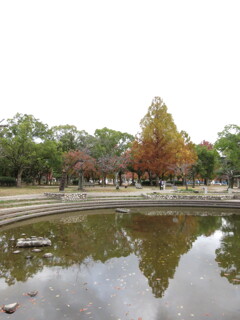 水鏡の紅葉