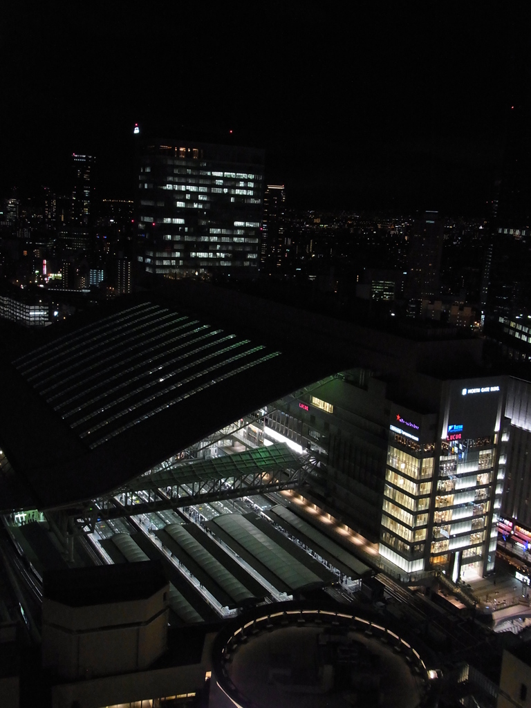 The Roof Of JR Osaka Station