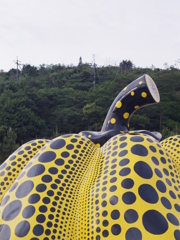 黄かぼちゃの頭