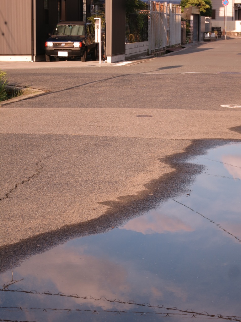 雨上がりの散歩