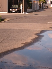雨上がりの散歩