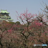 天守閣と梅林