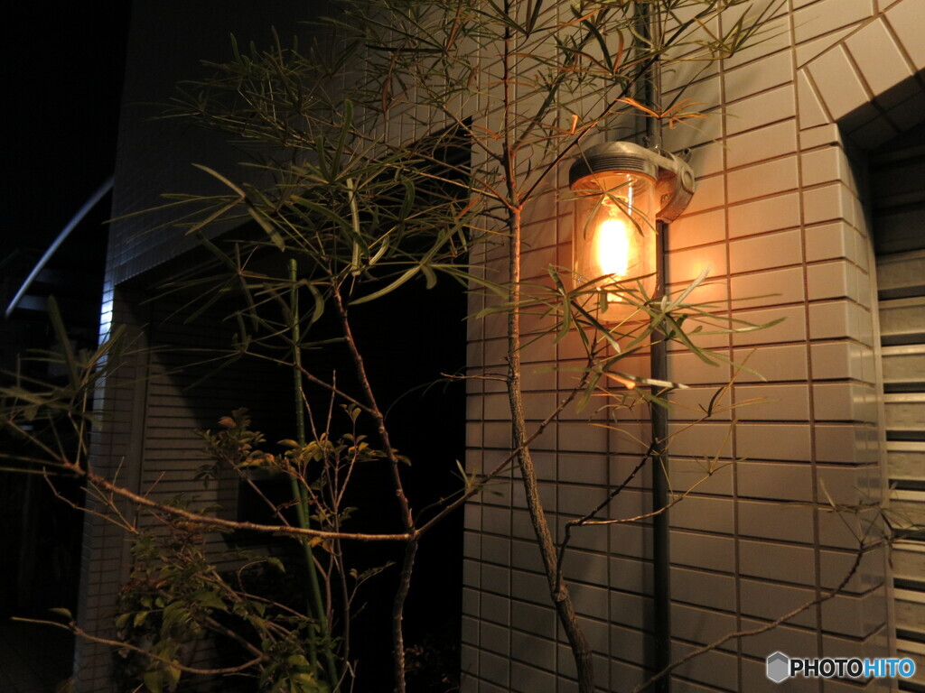 電球