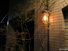 電球
