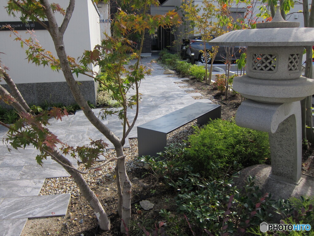 灯篭と紅葉のベンチ