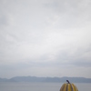 瀬戸内海と黄かぼちゃ
