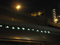 イチョウのハイウェイ