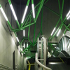 Green Frames