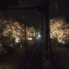 嵐電 桜のトンネルその３