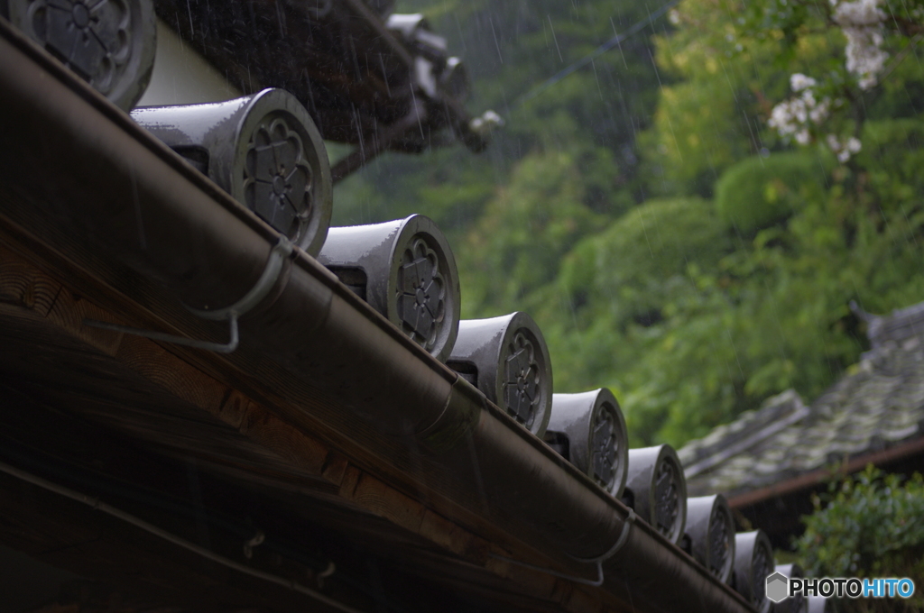 雨と瓦