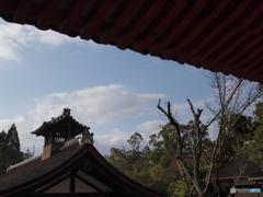 春日大社から見た空