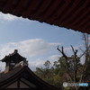 春日大社から見た空
