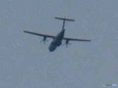 TAIL