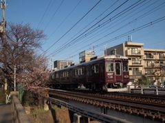 SAKURA X HANKYU