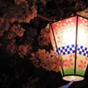 桜提灯と夜桜