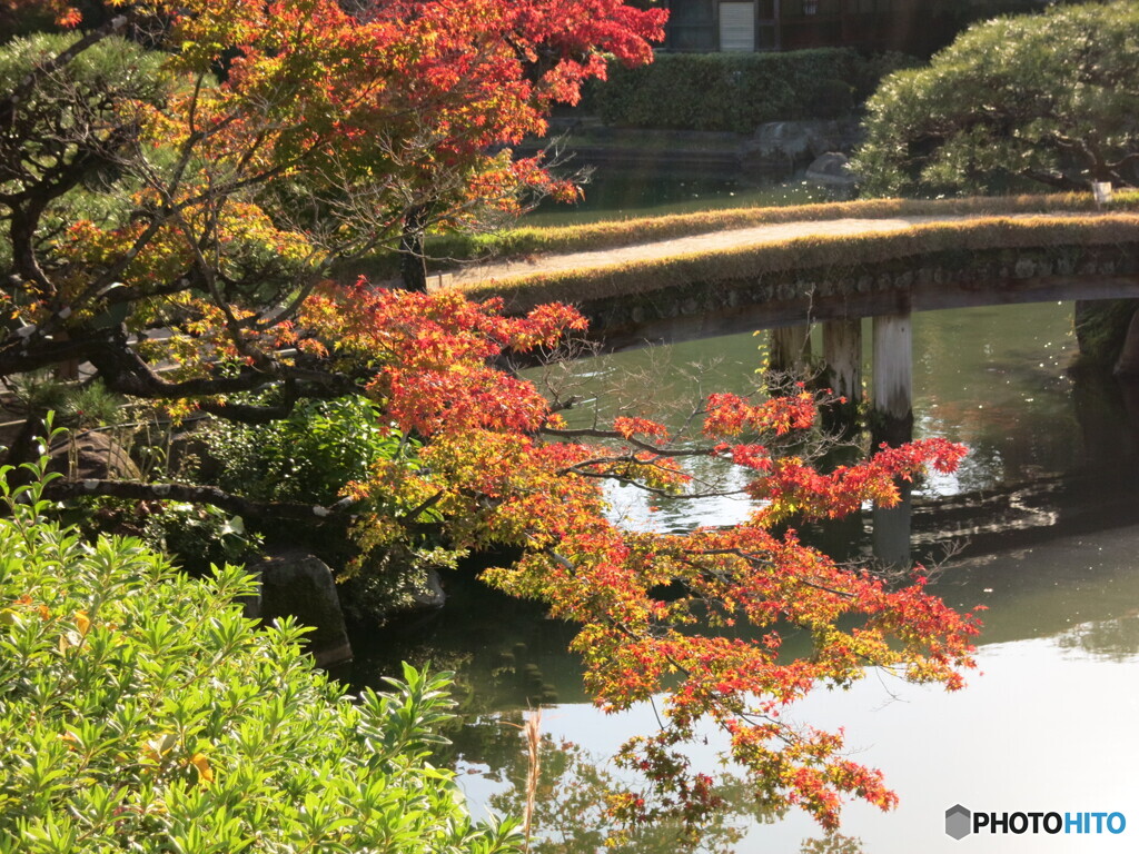 相楽園の紅葉