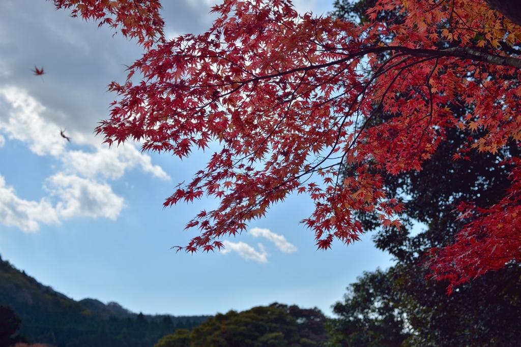 旅立ち...空へ