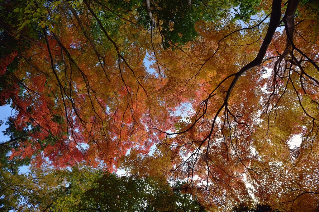 彩空