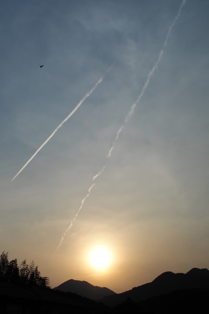 夕暮れ燕と飛行機雲