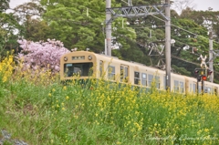Spring train