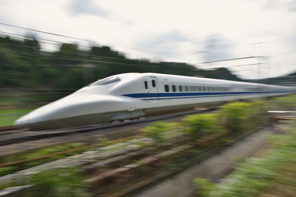78813442