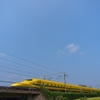 90483592