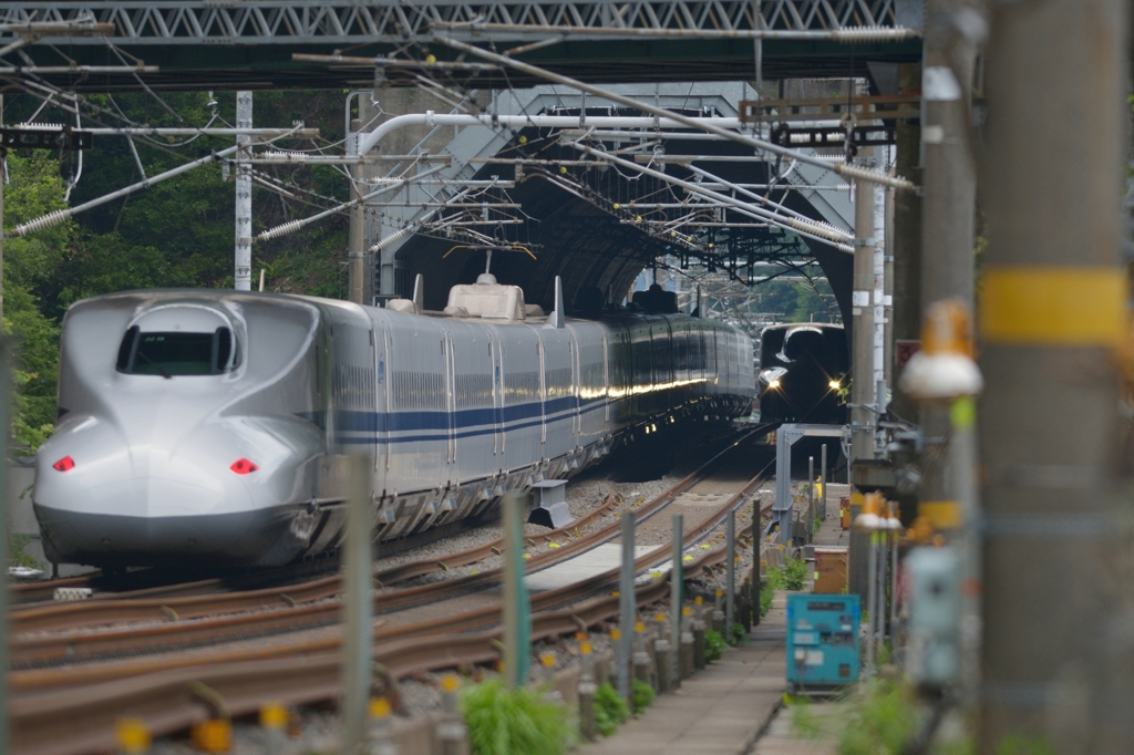 78313445