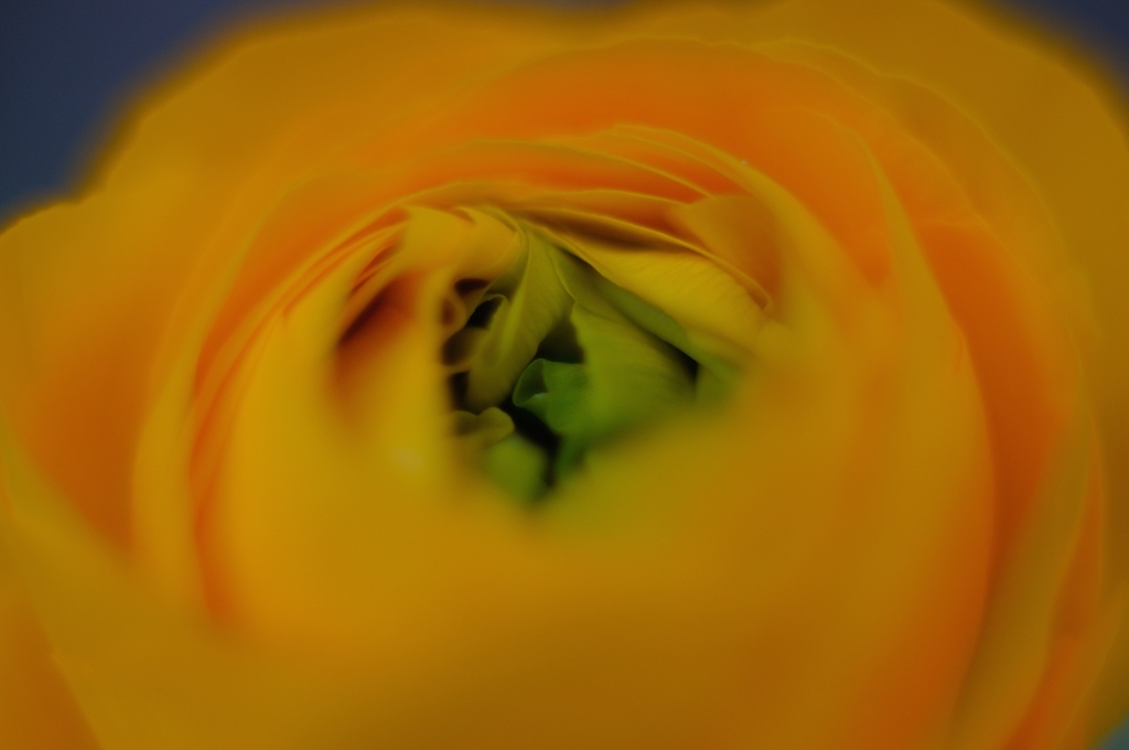 03201670