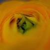03201670