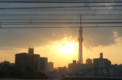 夕日