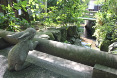 うさぎ
