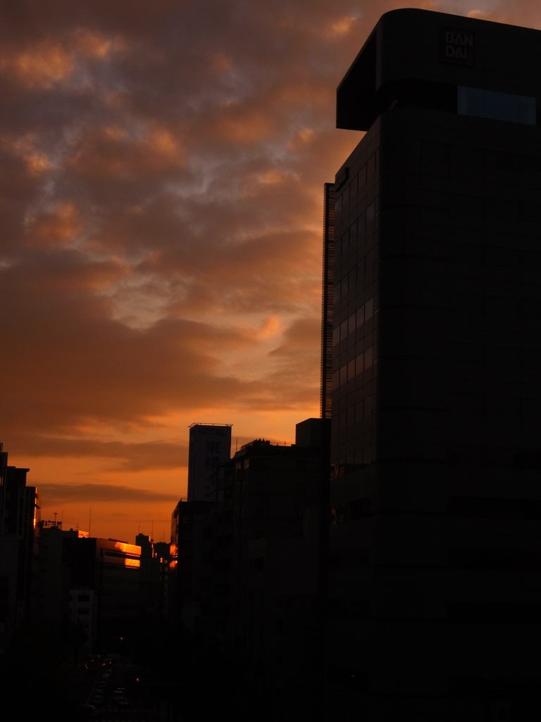 江戸通りの夕焼け