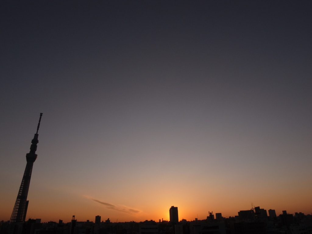 目覚めよ、東京。