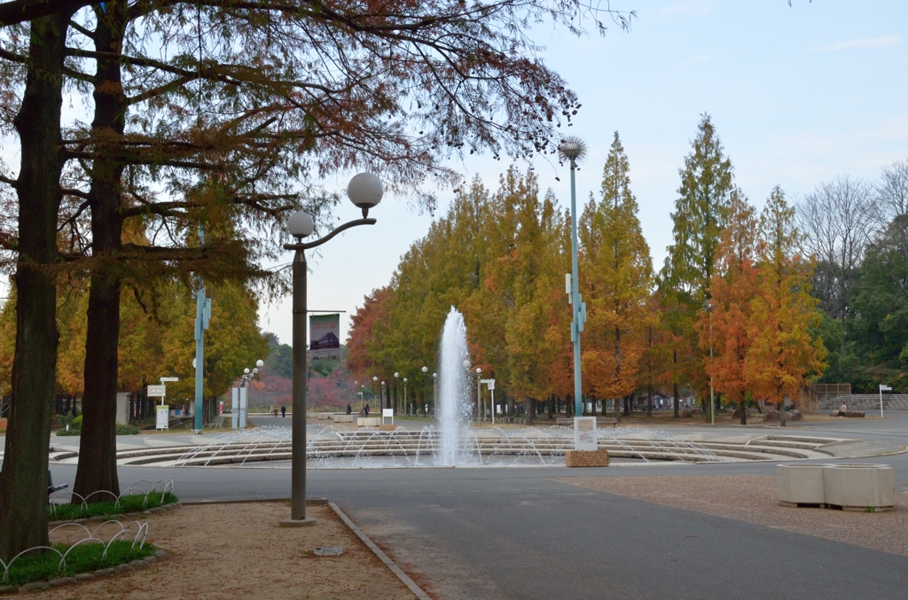 噴水と紅葉