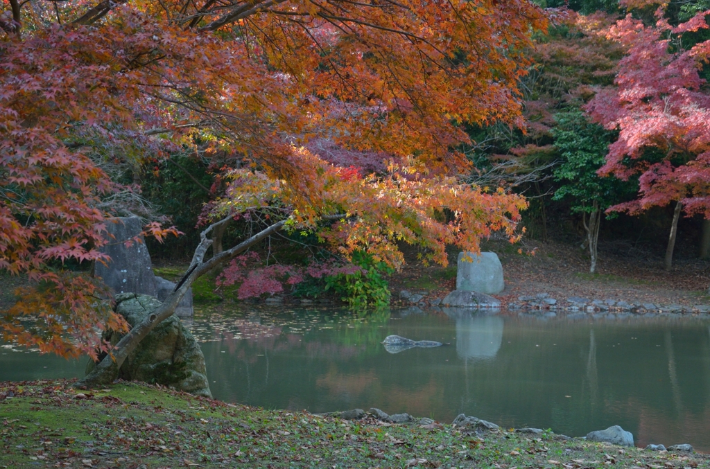 錦織公園　4