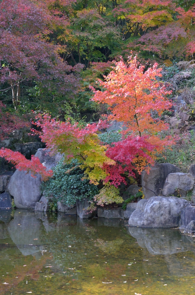 錦織公園　2