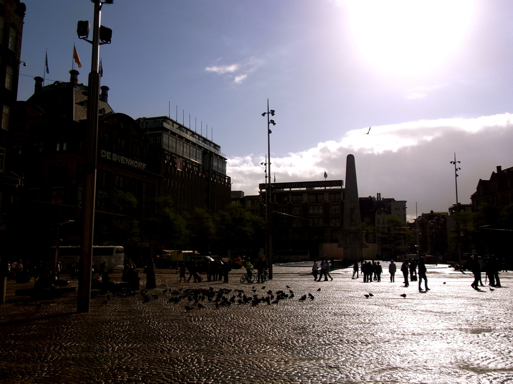 RIMG0422_2_2
