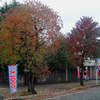 大牟田市新栄町駅付近の紅葉・その壱
