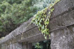 別府路地裏撮影会・その拾九