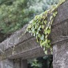 別府路地裏撮影会・その拾九