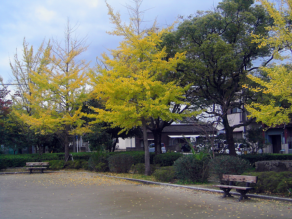 明治公園の紅葉・その五