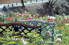 フラワーヒル菊池高原にて・その九